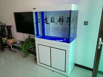 定制魚缸柜體尺寸圖的選購指南定制魚缸柜體尺寸圖的關鍵步驟：定制魚缸柜體尺寸圖和防水處理技巧