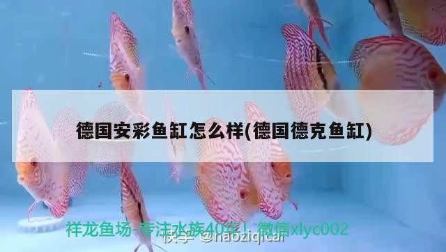 十堰市凱歌動物醫藥(孫濤店) 全國水族館企業名錄 第4張 十堰市凱歌動物醫藥(孫濤店) 十堰市凱歌動物醫藥(孫濤店) 全國水族館企業名錄 第4張