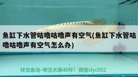 十堰市凱歌動物醫藥(孫濤店) 全國水族館企業名錄 第3張 十堰市凱歌動物醫藥(孫濤店) 十堰市凱歌動物醫藥(孫濤店) 全國水族館企業名錄 第3張