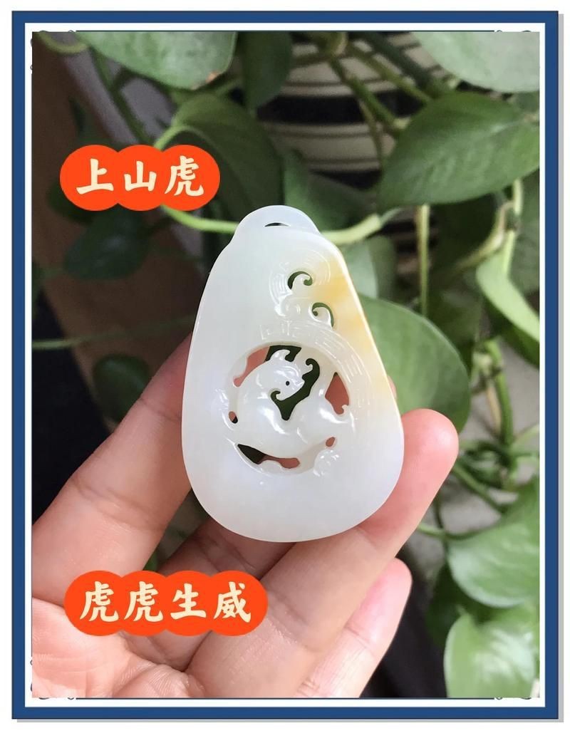 虎在風水中代表什么