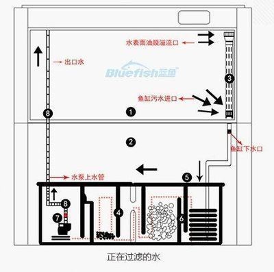 魚缸底過濾系統原理圖 魚缸底過濾系統原理圖 魚缸百科 第1張