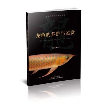 龍魚的鑒賞要點是什么意思呀：龍魚的鑒賞要點