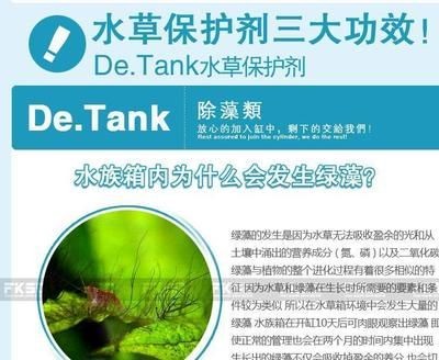 魚缸除藻類：關(guān)于魚缸除藻的一些詳細信息