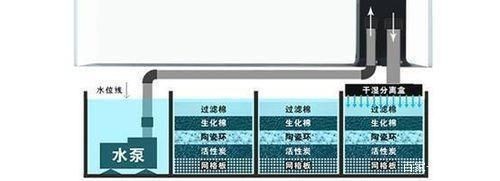 龍魚缸水泵選水體的幾倍：如何選擇適合的龍魚缸水泵