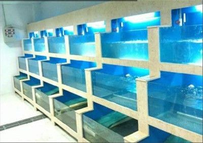 自制海鮮魚缸的步驟詳解：咸水魚缸的養(yǎng)護技巧