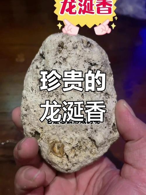 能提供幾張真假紅龍涎對比圖嗎？