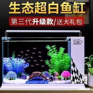 小魚缸怎么組裝視頻:小魚缸怎么組裝視頻詳情 魚缸百科 第4張 小魚缸怎么組裝視頻:小魚缸怎么組裝視頻詳情 小魚缸怎么組裝視頻:小魚缸怎么組裝視頻詳情 魚缸百科 第4張