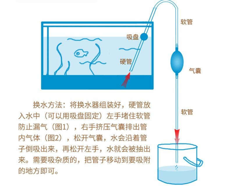 小魚缸怎么組裝視頻:小魚缸怎么組裝視頻詳情 魚缸百科 第5張 小魚缸怎么組裝視頻:小魚缸怎么組裝視頻詳情 小魚缸怎么組裝視頻:小魚缸怎么組裝視頻詳情 魚缸百科 第5張