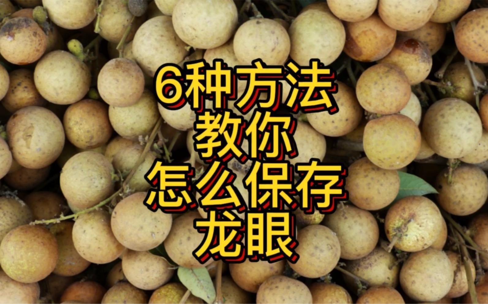 新鮮龍眼如何科學保存