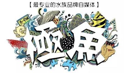 朋友圈發(fā)龍魚(yú)怎么說(shuō)話，朋友圈發(fā)龍魚(yú)怎么說(shuō)話說(shuō)話：如何在朋友圈發(fā)龍魚(yú)？