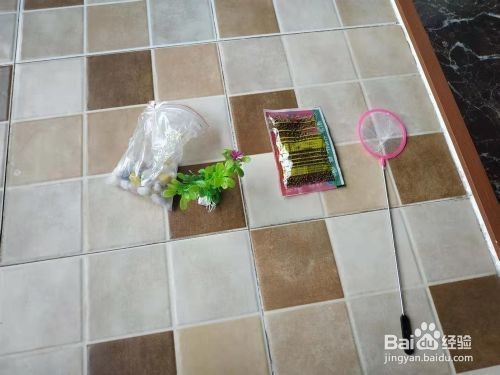 小型魚缸的裝飾技巧：小型魚缸裝飾技巧