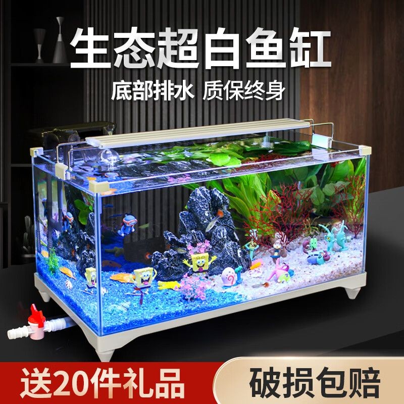 爬將軍魚缸怎么樣？：爬將軍魚缸適合養(yǎng)什么魚