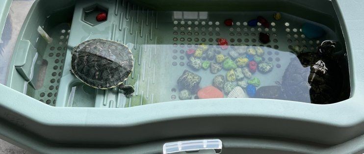 爬將軍魚缸怎么樣？：爬將軍魚缸適合養(yǎng)什么魚
