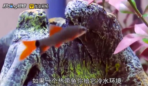 庫爾勒森森森水族館（庫爾勒森垚酒莊）