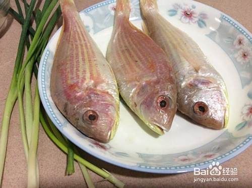 紅三刀魚為何要少吃 龍魚論壇 第7張 紅三刀魚為何要少吃 紅三刀魚為何要少吃 龍魚論壇 第7張
