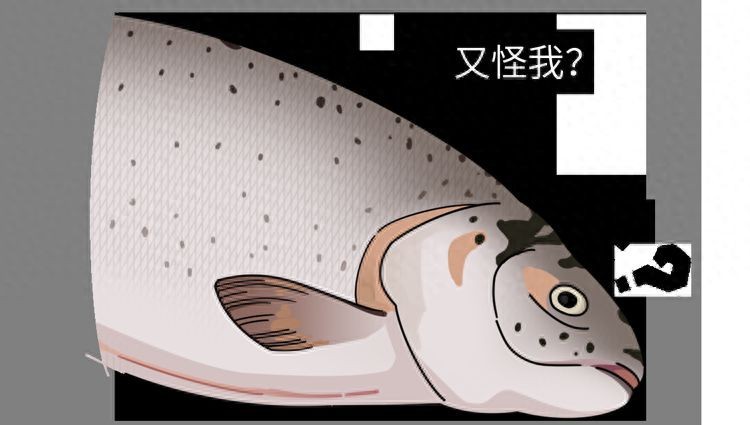 鮰魚為什么是最臟的魚
