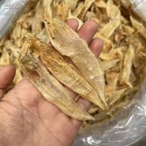 紅龍飼養環境要求，紅龍魚的飼養環境 紅龍飼養環境要求，紅龍魚的飼養環境 龍魚百科 第1張