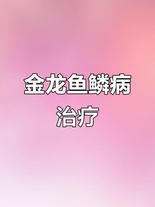 金龍魚起白毛