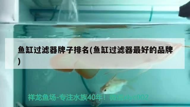 魚缸過濾十大品牌：魚缸過濾器十大品牌魚缸過濾器十大品牌詳情分享