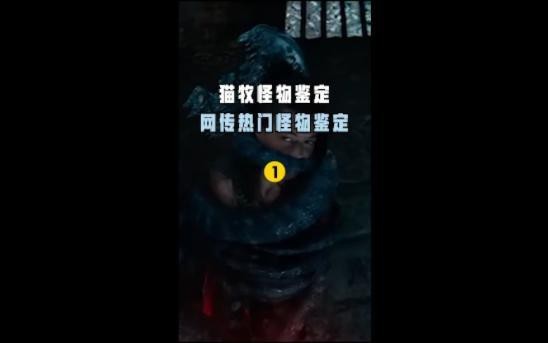 紅龍在DND中有哪些著名的個體？