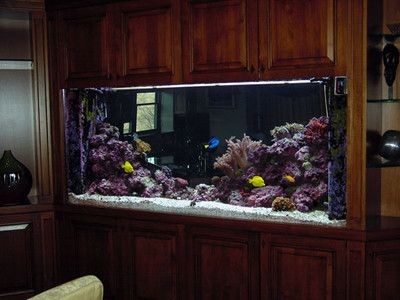 龍魚魚缸制作設(shè)計(jì)圖（關(guān)于龍魚魚缸制作設(shè)計(jì)圖的相關(guān)信息）
