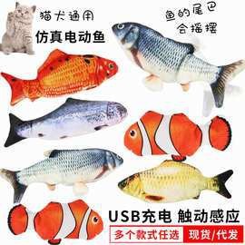 5cm龍魚苗價(jià)格表
