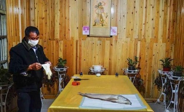 貴陽金龍魚董事長兒子叫什么名字呢，貴陽金龍魚董事長兒子叫金龍