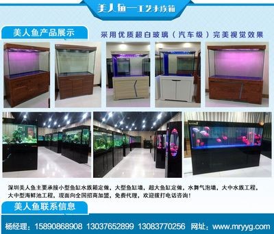 登封魚缸批發(fā)市場：河南登封市魚缸批發(fā)市場