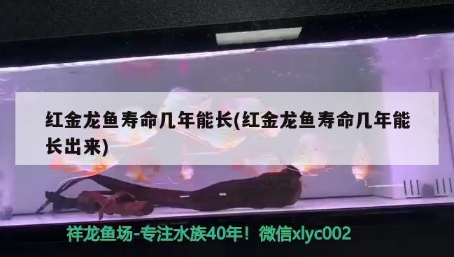 遵義綏陽縣萬嘉水族魚缸經營部
