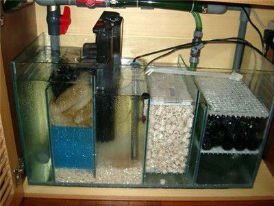 高錳酸鉀魚缸消毒的注意事項：高錳酸鉀魚缸消毒濃度配制對于養魚愛好者來說非常重要