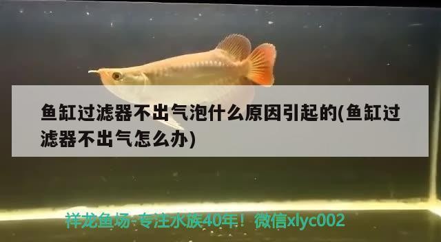 商都縣水族宮（商都縣水族宮電話）