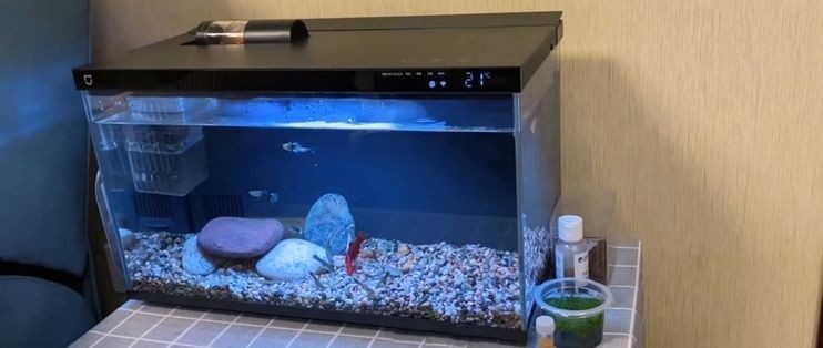佳路魚缸是森森魚缸嗎怎么樣：佳璐魚缸和森森魚缸各有千秋 佳路魚缸是森森魚缸嗎怎么樣：佳璐魚缸和森森魚缸各有千秋 魚缸百科 第2張