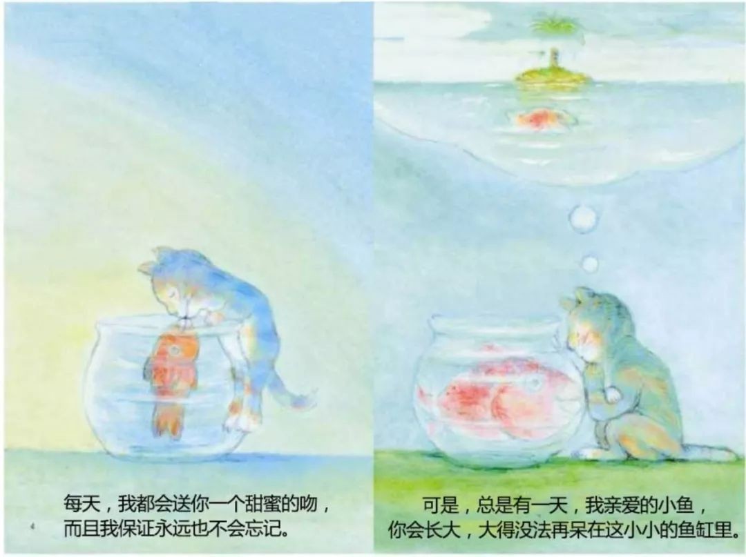 魚缸里的故事語言：魚缸的故事語言