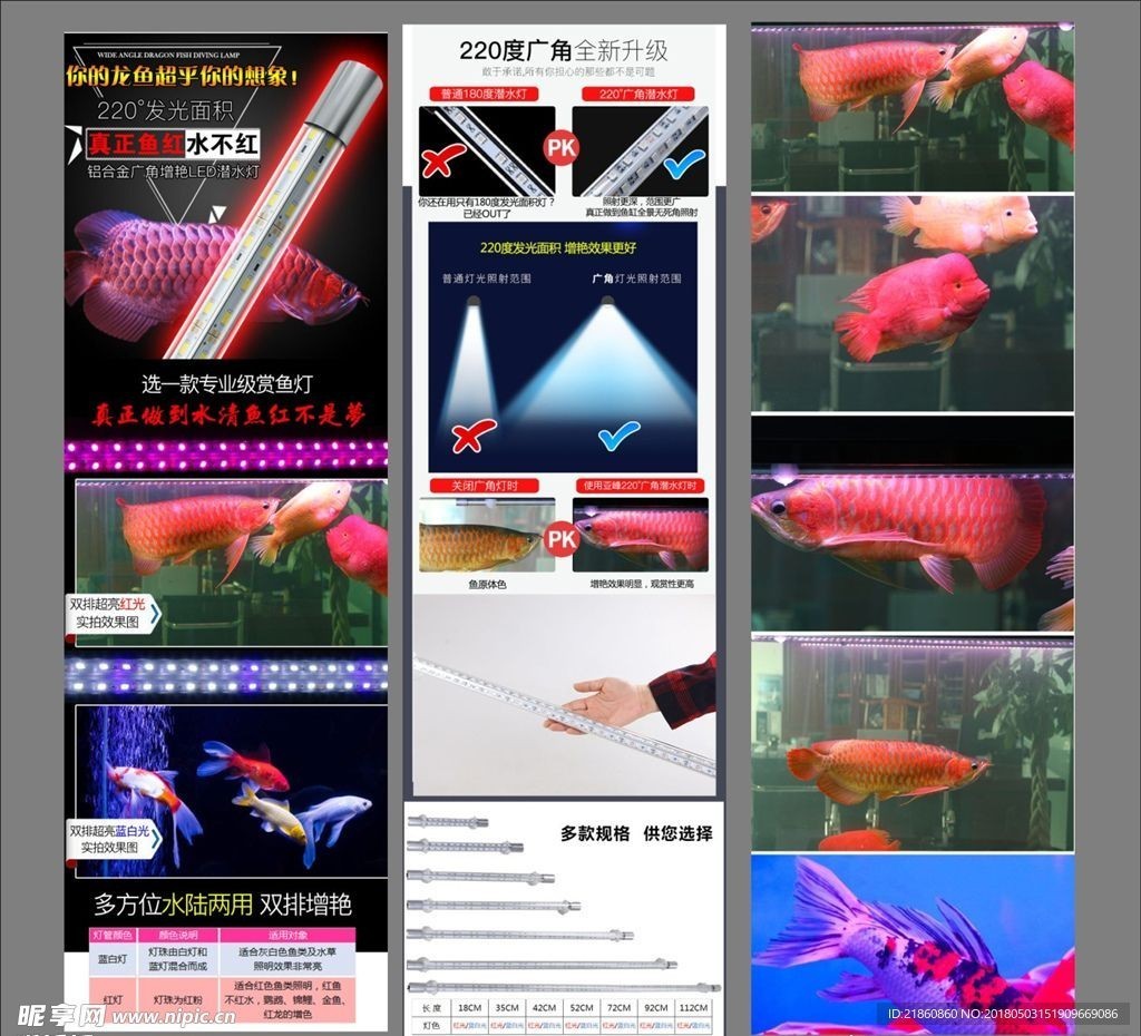 龍魚哪里買好：如何在網(wǎng)上購買龍魚