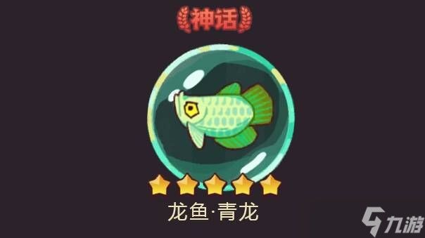 龍魚哪里買好：如何在網(wǎng)上購買龍魚