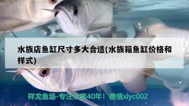 養(yǎng)龍魚什么魚缸好用