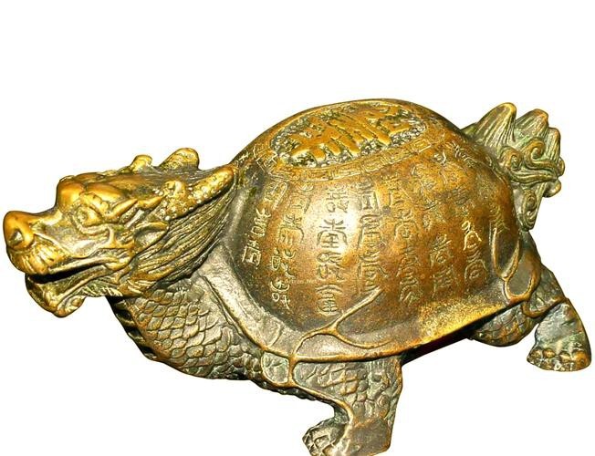 龍龜圖片100張