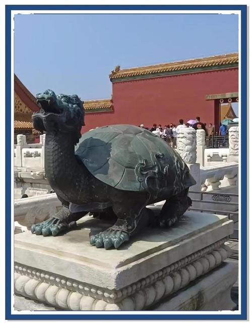 龍龜圖片100張
