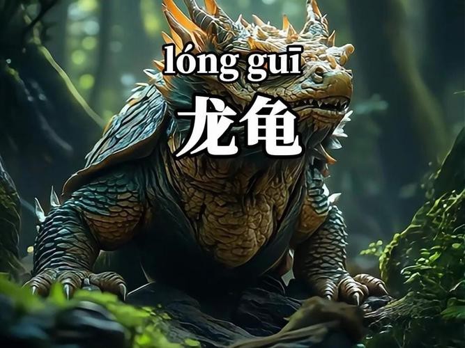 龍龜圖片100張