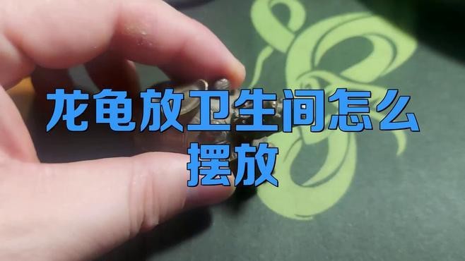 龍龜擺放衛生間有哪些禁忌 龍龜擺放衛生間有哪些禁忌 龍魚論壇 第1張