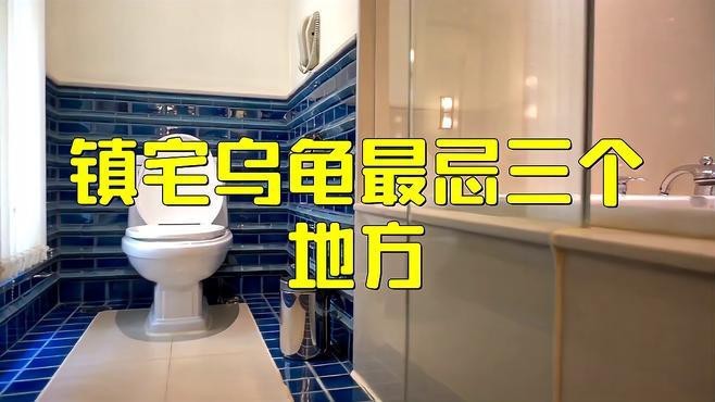 龍龜擺放衛生間有哪些禁忌 龍龜擺放衛生間有哪些禁忌 龍魚論壇 第2張
