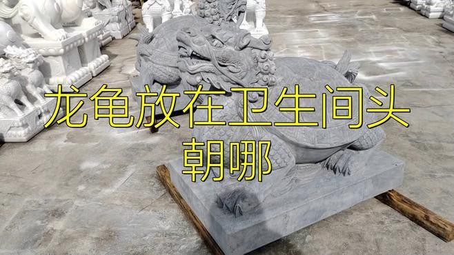 龍龜擺放衛生間有哪些禁忌 龍龜擺放衛生間有哪些禁忌 龍魚論壇 第4張
