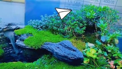 海水魚缸的日常維護和保養步驟：海水魚缸的日常維護和保養方法：海水魚缸日常維護和保養方法
