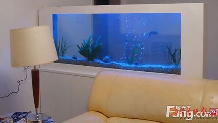 魚缸換水的三大禁忌（魚缸換水的三大禁忌主要包括以下幾個方面以下幾個方面） 魚缸換水的三大禁忌（魚缸換水的三大禁忌主要包括以下幾個方面以下幾個方面） 魚缸百科 第5張