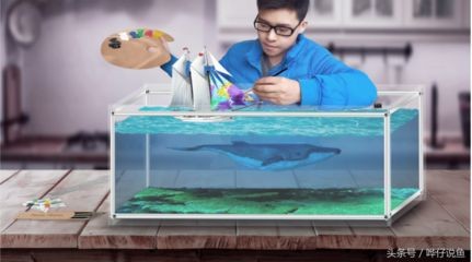魚缸換水的三大禁忌（魚缸換水的三大禁忌主要包括以下幾個方面以下幾個方面） 魚缸換水的三大禁忌（魚缸換水的三大禁忌主要包括以下幾個方面以下幾個方面） 魚缸百科 第1張