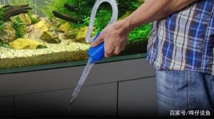 魚缸換水的三大禁忌（魚缸換水的三大禁忌主要包括以下幾個方面以下幾個方面） 魚缸換水的三大禁忌（魚缸換水的三大禁忌主要包括以下幾個方面以下幾個方面） 魚缸百科 第2張