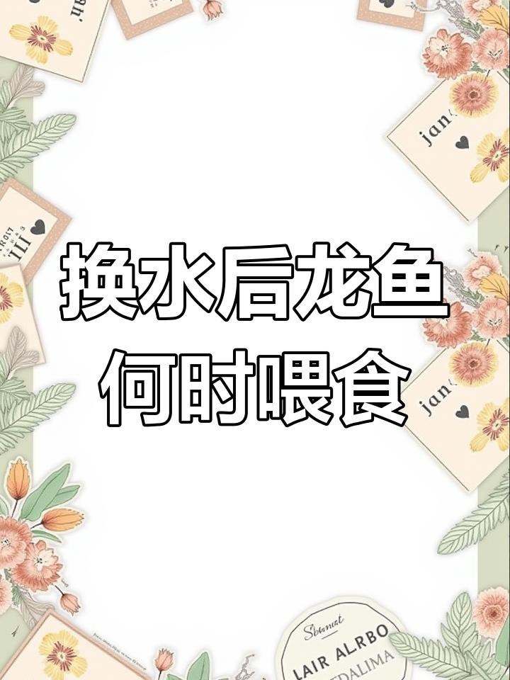 龍魚換缸多久才進(jìn)食