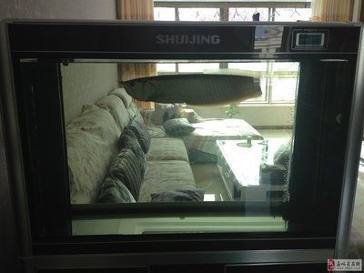 中山市大涌鎮(zhèn)旗洋水族館（中山市大涌鎮(zhèn)旗洋水族館電話） 中山市大涌鎮(zhèn)旗洋水族館（中山市大涌鎮(zhèn)旗洋水族館電話） 全國水族館企業(yè)名錄