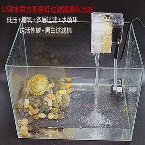 魚缸過濾器是否可以放入魚缸養魚，以及如何正確使用：如何正確使用魚缸過濾器？