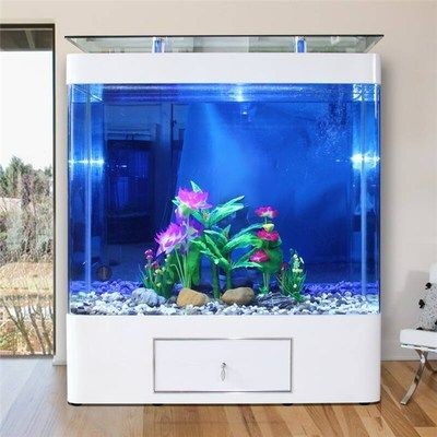 魚缸排名前十名有哪些：2024年魚缸排名前十名